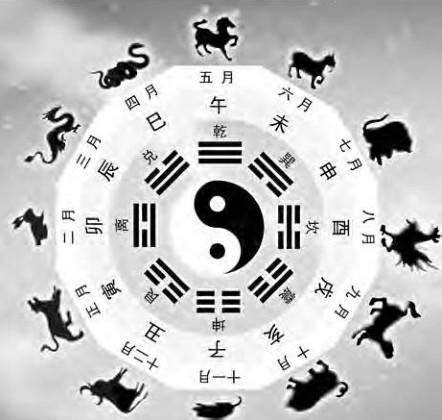 生肖天干地支|天幹地支